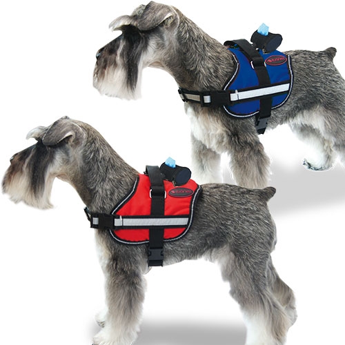 arnés para perro